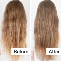 Act+Acre Dry + Damaged Hair System.
