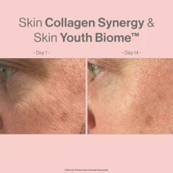 Advanced Nutrition Programme Skin Collagen Synergy