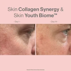 Advanced Nutrition Programme Skin Collagen Synergy
