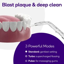 Burst Water Flosser Rose Gold