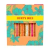 Burt's Bee's Just Picked Four Pack Gift Set