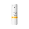 Dr. Hauschka Lip Care Stick