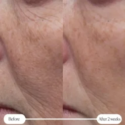 Elemis Pro-Collagen Rose Marine Cream