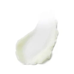 Estée Lauder Advanced Night Repair Cleansing Balm with Lipid-Rich Oil Infusion