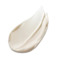 Estée Lauder Advanced Night Repair Overnight Treatment