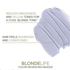 Joico Blonde Life Colour Enhancing Silver