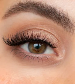 Luna by Lisa Jordan False Eyelashes - Calvin Defining Lash