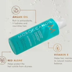 Moroccanoil Hydration Gift Set