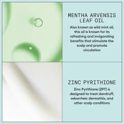 Nioxin Scalp Recovery System Scalp Soothing Serum 100ml
