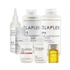 Olaplex Complete Repair, Hydrate, and Protect Solution Bundle