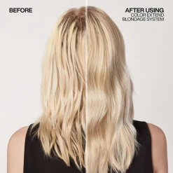 Redken Color Extend Blondage Shampoo