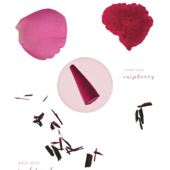 Ripple+ Rose Incense | Raspberry + Sandalwood Incense Cones