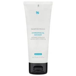 SkinCeuticals Hydrating B5 Masque