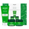 Weleda Skin Food Face Gift Set